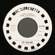 The Avalons, Many Things From Your Window / Is It The End [White Label Promo] (7")