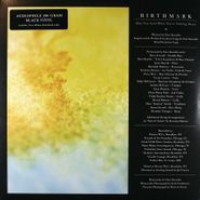 Birthmark, How You Look When You're Falling Down (LP)