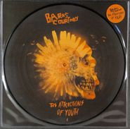 Barns Courtney, The Attractions Of Youth [Picture Disc] (LP)
