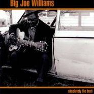 Big Joe Williams, Absolutely the Best (CD)