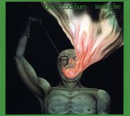 Bruce Cockburn, Stealing Fire (CD)