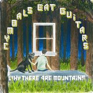 Cymbals Eat Guitars, Why There Are Mountains (CD)