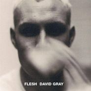 David Gray, Flesh (CD)