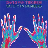David Van Tieghem, Safety In Numbers (CD)