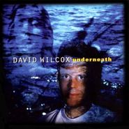 David Wilcox, Underneath (CD)