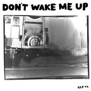 The Microphones, Don't Wake Me Up [Remastered] (LP)