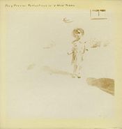 Dory Previn, Reflections in a Mud Puddle / Taps Tremors and Time Steps (LP)
