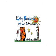 Edie Brickell & New Bohemians, Shooting Rubberbands At The Stars (CD)