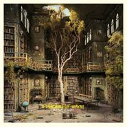 Fountains Of Wayne, Sky Full Of Holes [180 Gram Vinyl] (LP)