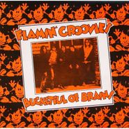The Flamin' Groovies, Bucketful of Brains (LP)
