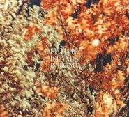 Future Islands, In The Fall EP (12")