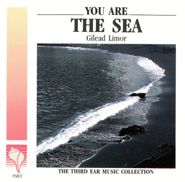 Gilead Limor, You Are The Wave (CD)