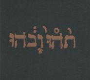 Godspeed You! Black Emperor, Slow Riot For New Zero Kanada EP (CD)