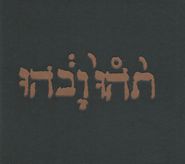 Godspeed You! Black Emperor, Slow Riot For New Zero Kanada EP (CD)