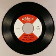 Jean Wells, What Have I Got To Lose / Broomstick Horse Cowboy (7")