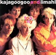 Kajagoogoo, Too Shy: The Singles and More (CD)