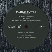Pablo Mateo, Why EP (12")