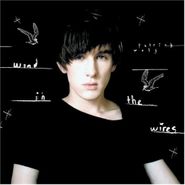 Patrick Wolf, Wind In The Wires [German Issue] (LP)