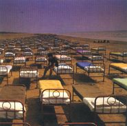 Pink Floyd, A Momentary Lapse of Reason (CD)