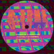 R-Zone, Visions Of A DeepWeb / Xochi's Awakening (12")