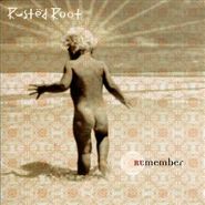 Rusted Root, Remember (CD)