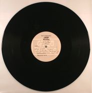 Swains, Don't Call Us [USA Test Pressing] (12")
