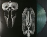 The Skull Defekts, Dance In Dreams Of The Unknown Known [Limited Clear Vinyl Issue] (LP)