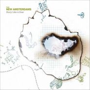The New Amsterdams, Story Like A Scar (CD)