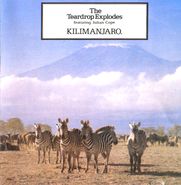 The Teardrop Explodes, Kilimanjaro (LP)
