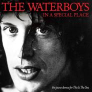 The Waterboys, In A Special Place: Piano Demos for This Is The Sea (CD)