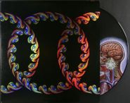 Tool, Lateralus [Double Picture Disc] (LP)