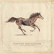 Turnpike Troubadours, A Long Way From Your Heart (CD)