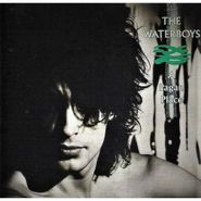 The Waterboys, A Pagan Place (CD)