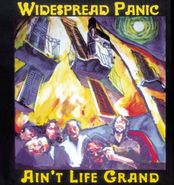 Widespread Panic, Ain't Life Grand (CD)