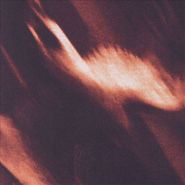 Agalloch, Ashes Against The Grain (CD)