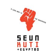 Seun Kuti + Fela's Egypt 80, A Long Way To The Beginning (LP)