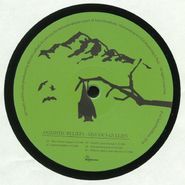 Animistic Beliefs, Sinuous Gullies (12")