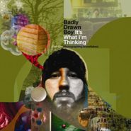 Badly Drawn Boy, It's What I'm Thinking Part One: Photographing Snowflakes (CD)