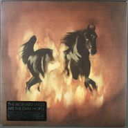 The Besnard Lakes, The Besnard Lakes Are The Dark Horse (LP)