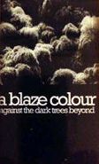 A Blaze Colour, Against The Dark Trees Beyond (Cassette)