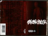 Box Car Racer, Box Car Racer (Cassette)