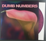 Dumb Numbers, Dumb Numbers [Pink/Purple Vinyl] (LP)