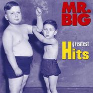 Mr. Big, Greatest Hits (CD)