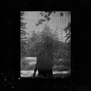 Grouper, Ruins (LP)