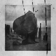 Lykke Li, Wounded Rhymes (CD)