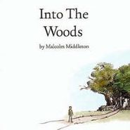 Malcolm Middleton, Into The Woods (CD)