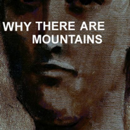 Cymbals Eat Guitars, Why There Are Mountains (CD)