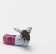 Red Hot Chili Peppers, I'm With You (CD)