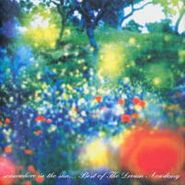 The Dream Academy, Somewhere In The Sun... Best Of The Dream Academy [Import] (CD)