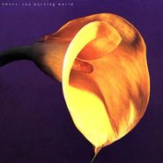 Swans, The Burning World (CD)